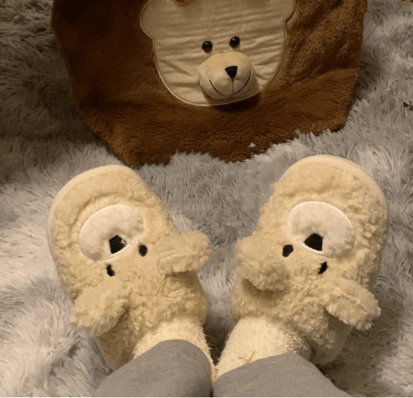 Custom Pet Cotton Slippers: A Cozy Tribute to Your Furry Friend